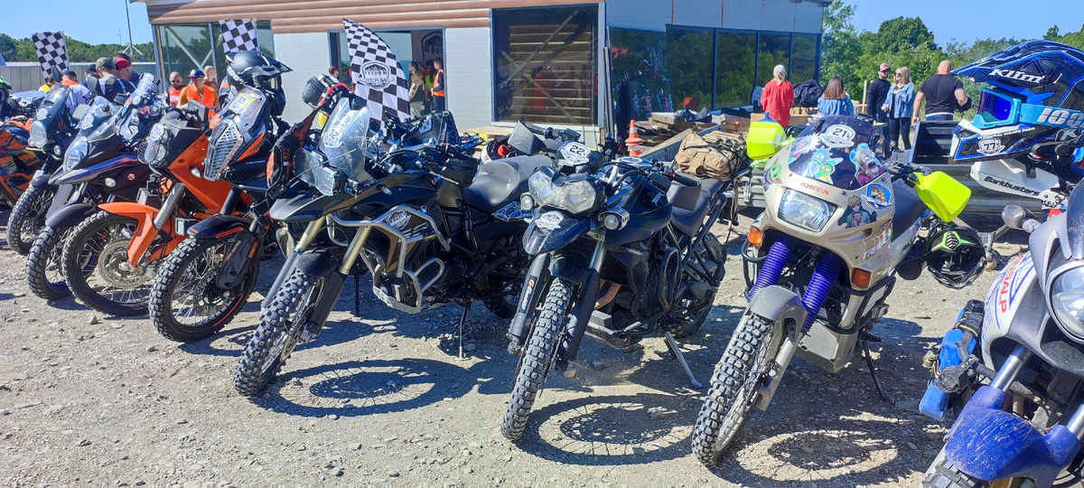 Фото-мото: Тигр позирует