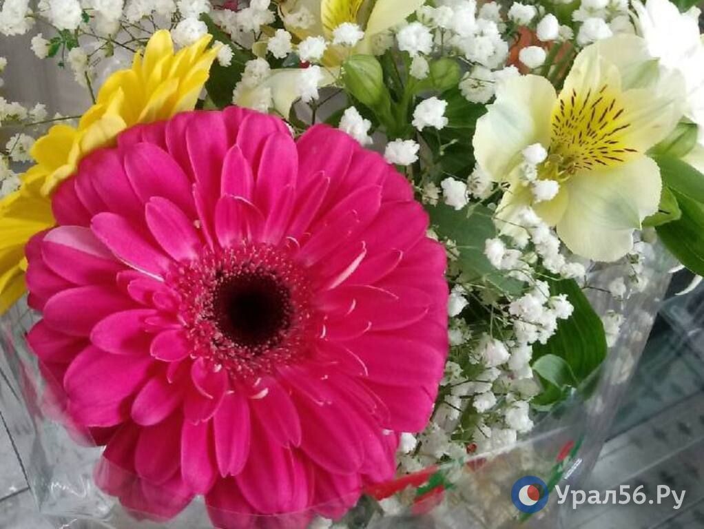    Двадцать два цветочных базара откроют в Орске к 8 Марта