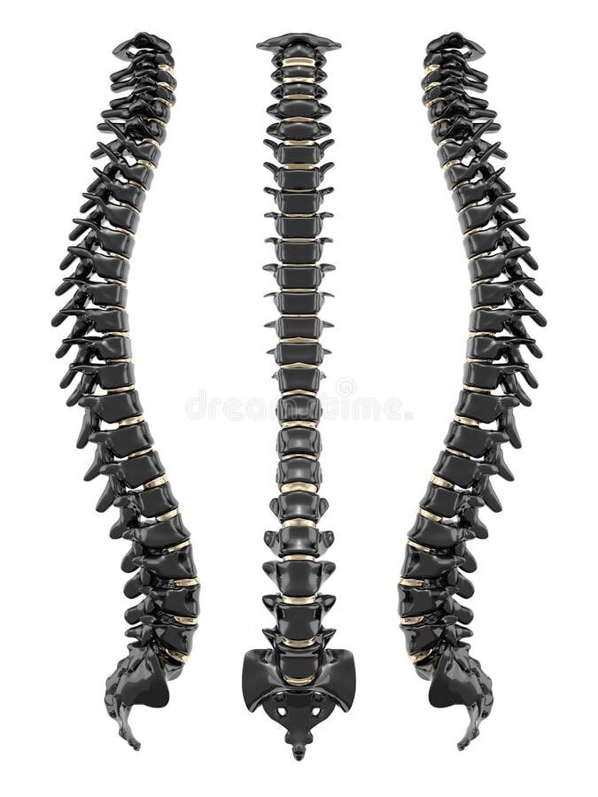 Из открытых интернет источников 