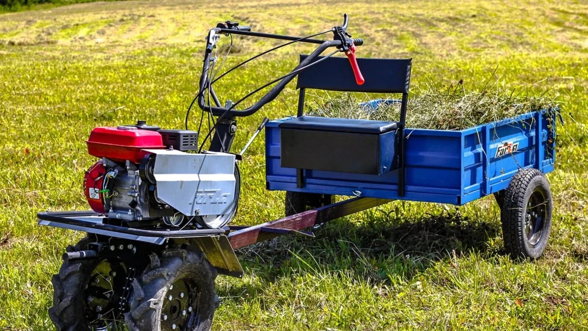 Фото: Яндекс