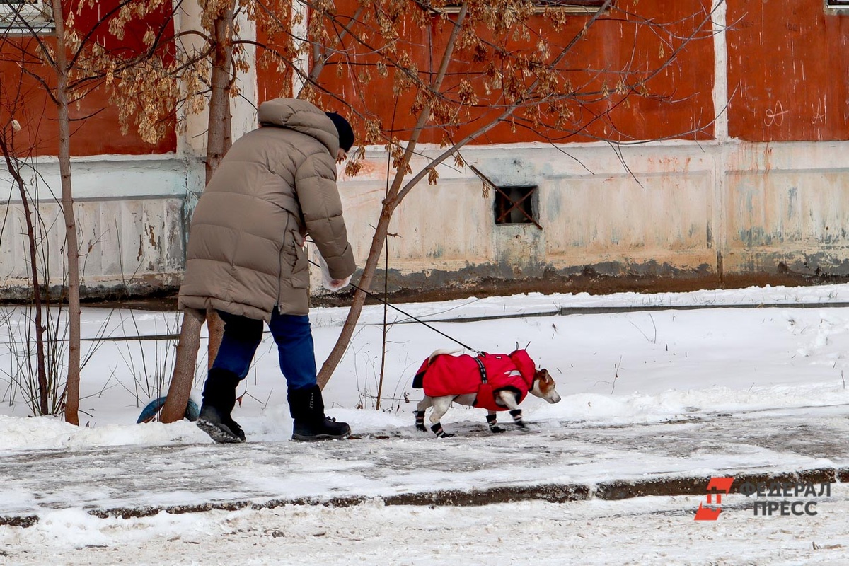 Волонтеры обратились в полицию.  Фото: ФедералПресс / Елена Майорова