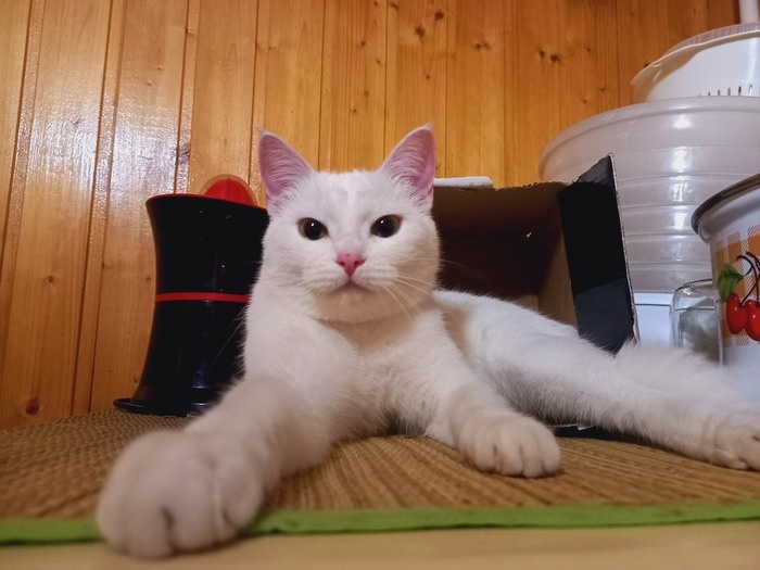 Листайте вправо, чтобы увидеть больше изображений