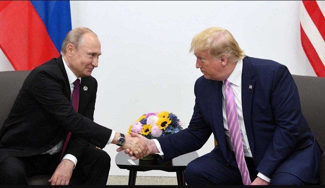 Фото взято из Яндекс браузера 