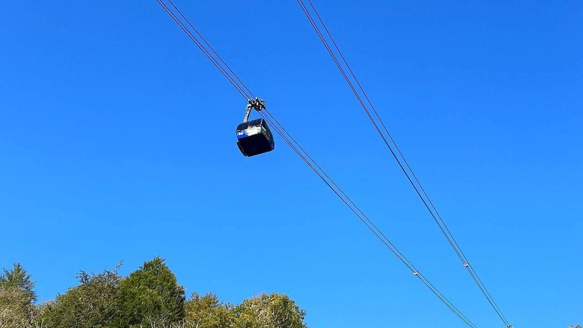    Фото: телеканал «Краснодар»