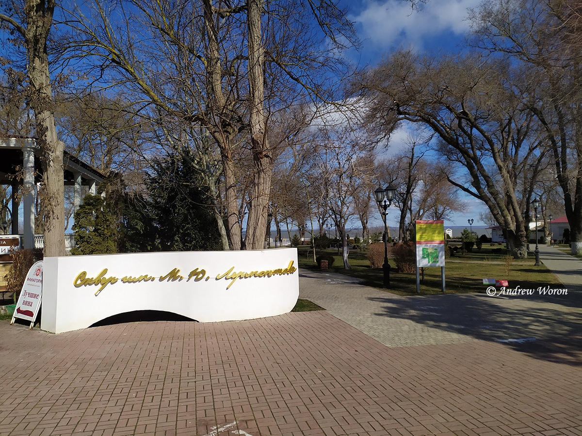 Центральный вход с ул. К.Маркса