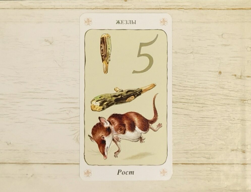 Аркан "5 Жезлов". "Таро Гномов".