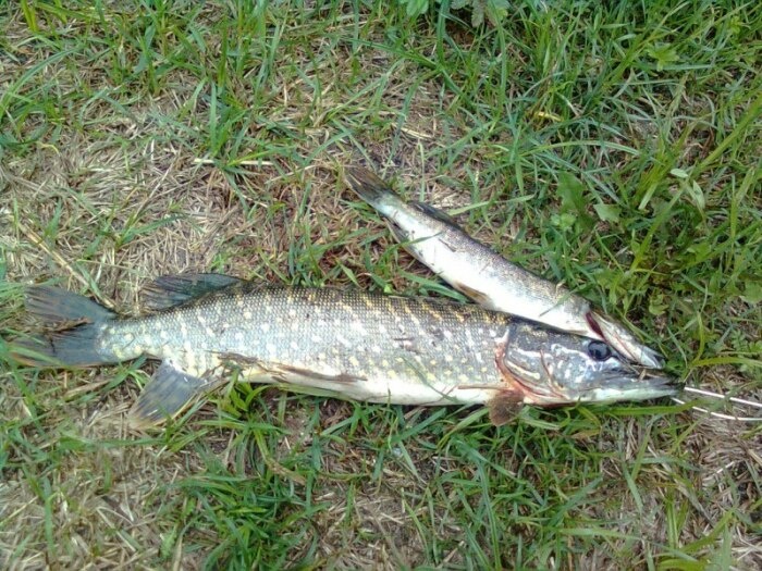 Если вторая превысила, то еще не нарушение! /Фото: ВКонтакте.