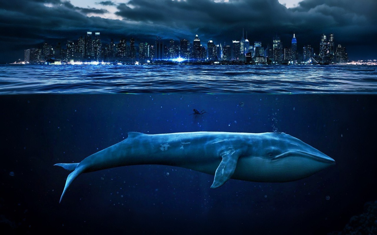 жители океана 