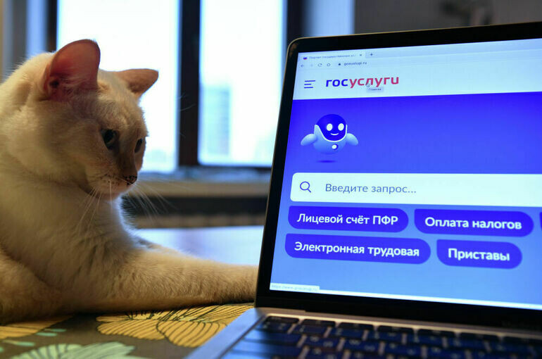   Александр Кряжев / РИА Новости