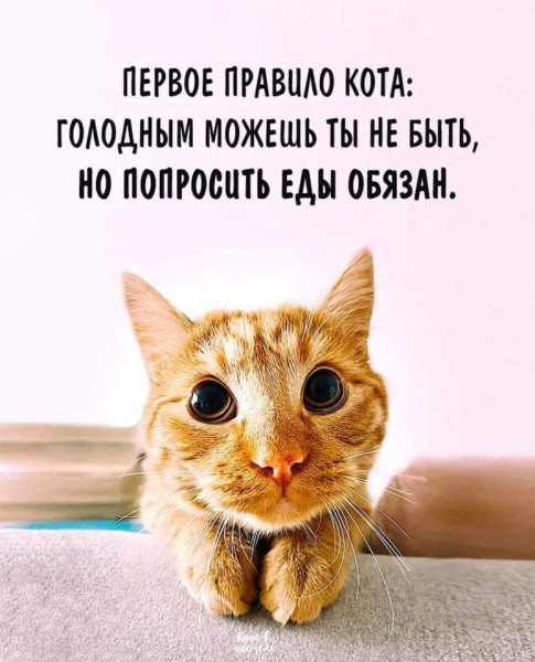 Картинка с просторов.