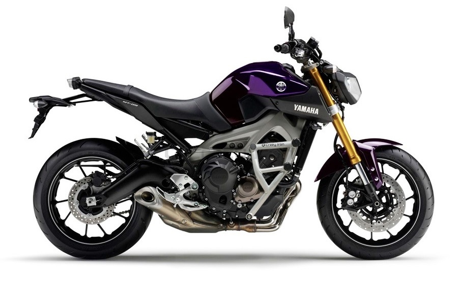 Клетка на мотоцикл YAMAHA MT-09, FZ-09, TRACER `13-`16; XSR900 `16-`20 CRAZY IRON серии PRO
Артикул: 3080512