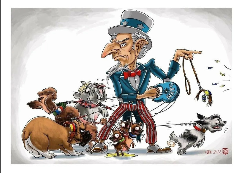 Все фото и картинки из интернета