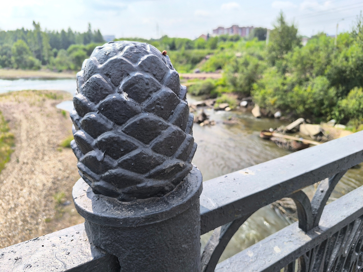 На Ушаковском мосту летом видела такие железные шишки! (© Анна, «Маяк энерджайзера»)