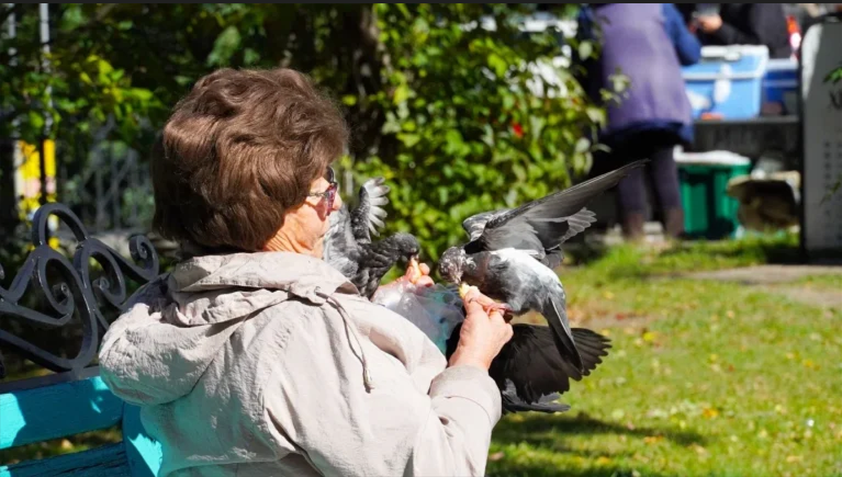 Фото: Амур.инфо