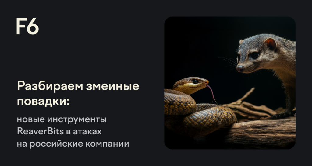    Источник: www.f6.ru