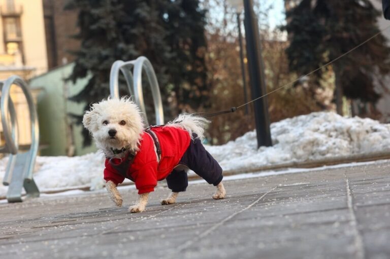    Фото: Агентство «Москва» Екатерина Шахнина
