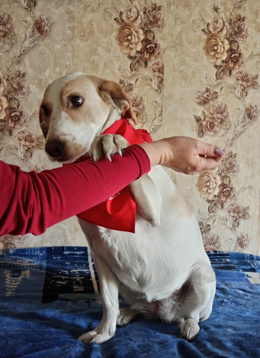 Мама, посмотри, я какая талантливая! 