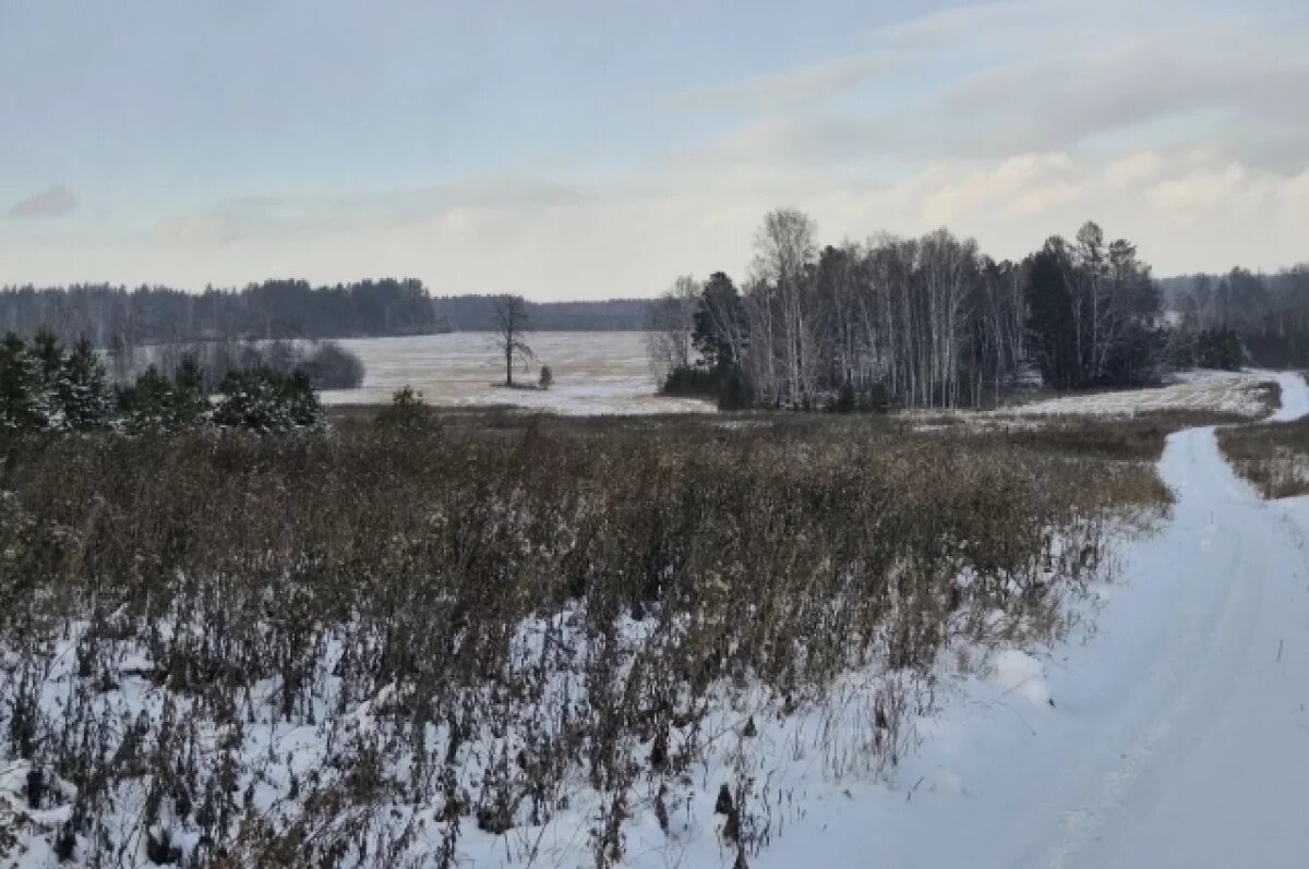    Глава Тасеевского района стал фигурантом уголовного дела