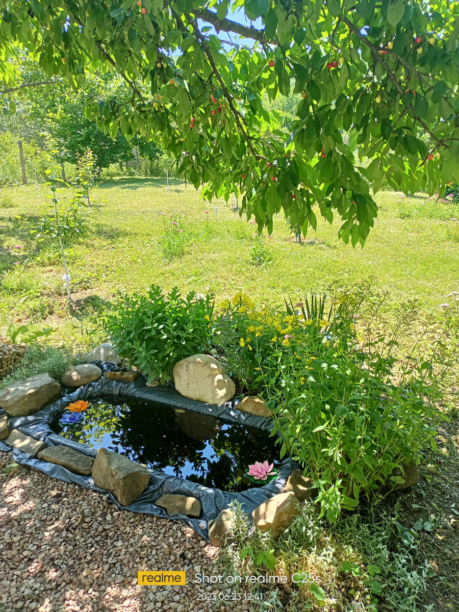 Прудик, первые шаги по обустройству.