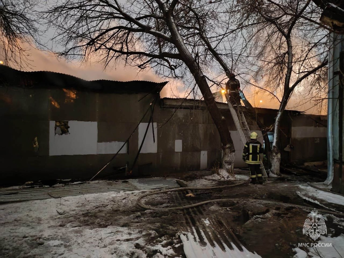    Фото: МЧС Красноярского края