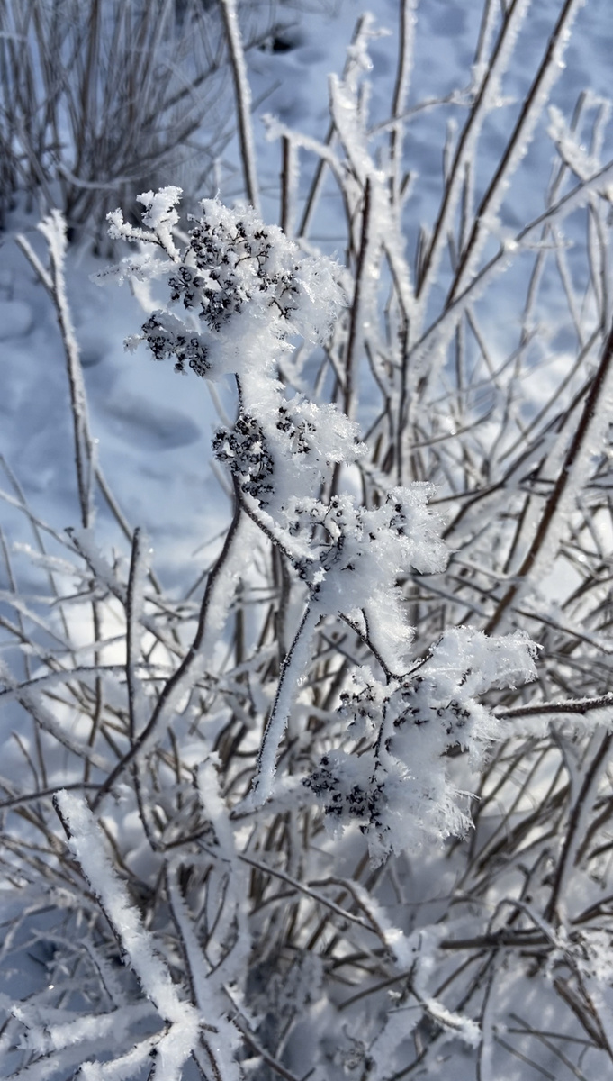Вчера сделала снимок☺️