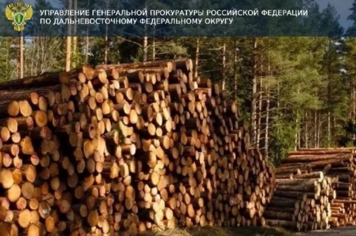    В Приморье в суд направлено дело о контрабанде леса на 250 млн руб.