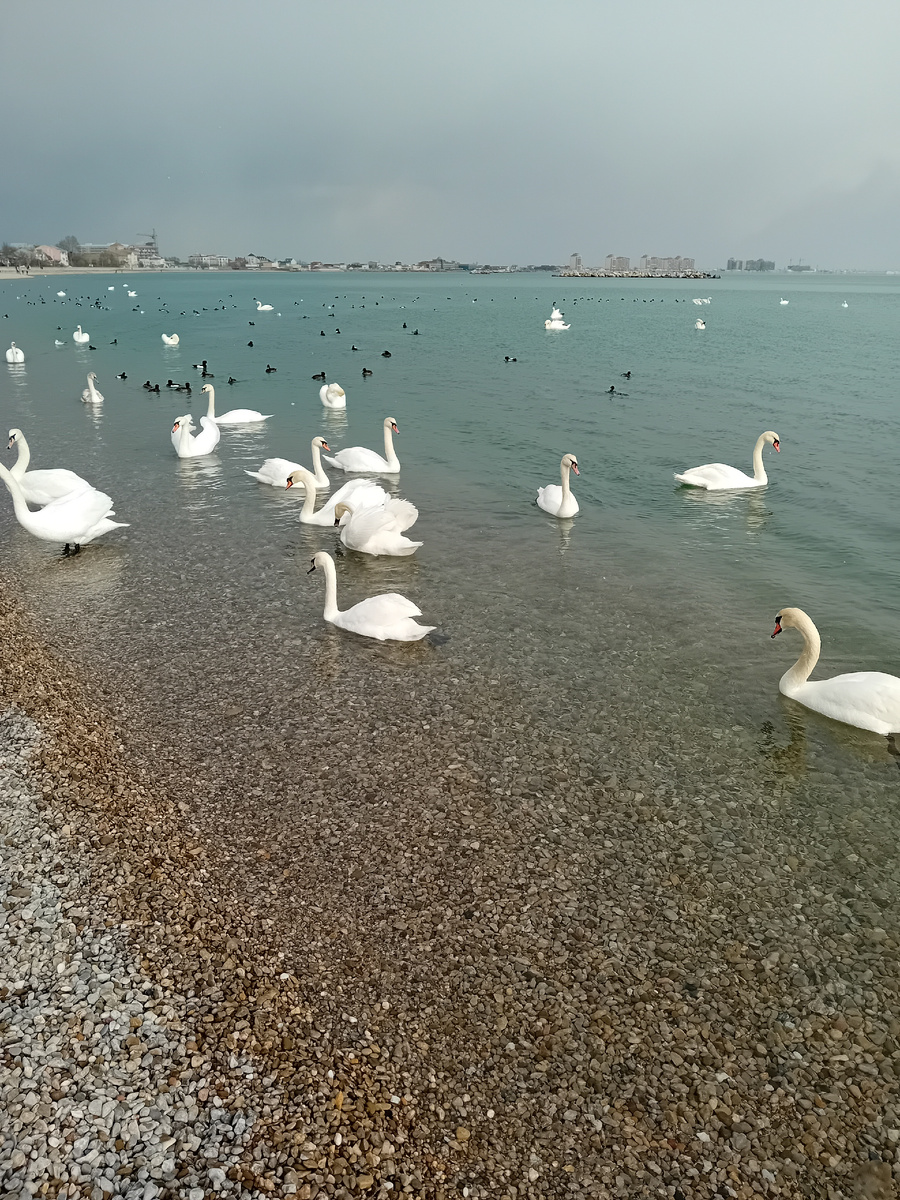 Авторское фото. ДО СЛЕЗ. Фото после трагедии с танкером.