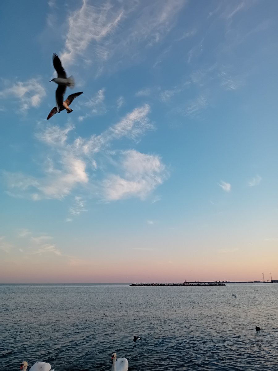 Авторское фото.