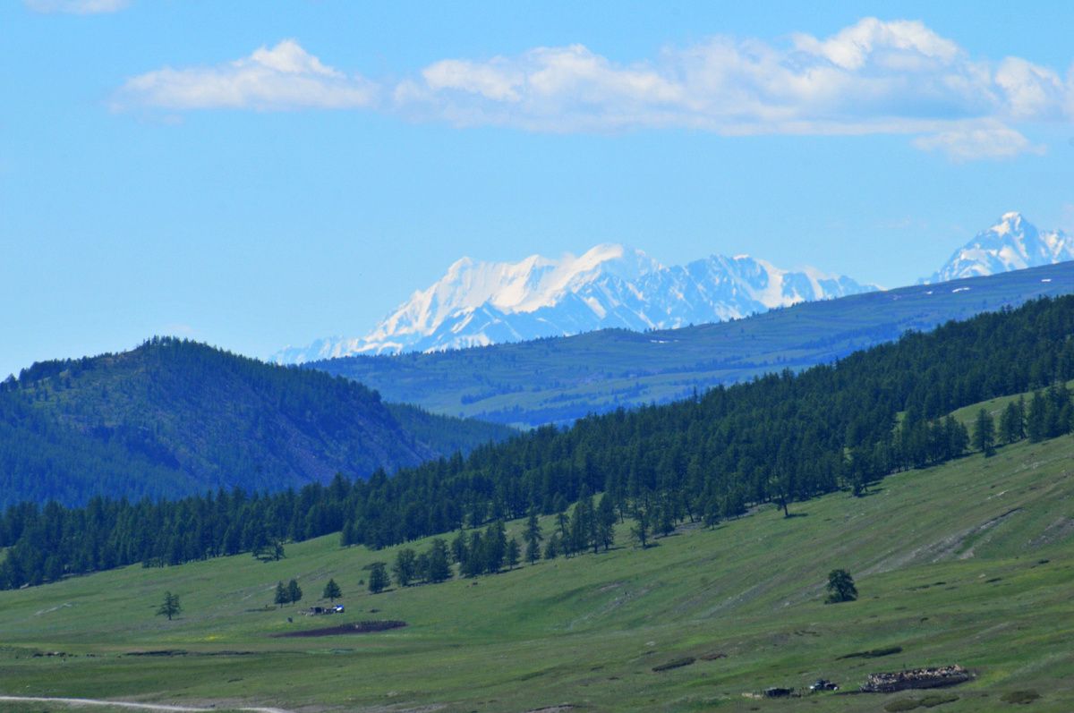 Фото Ольга Шадрина