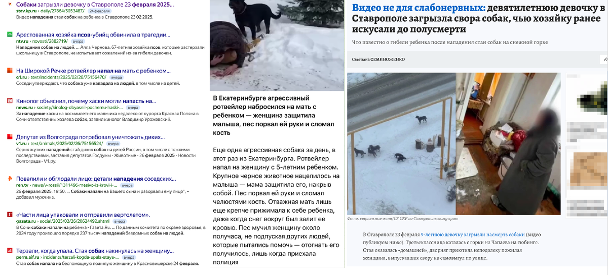 Если мы не начнём принимать меры по повышению безопасности населения - всё это и многое другое будет продолжаться!