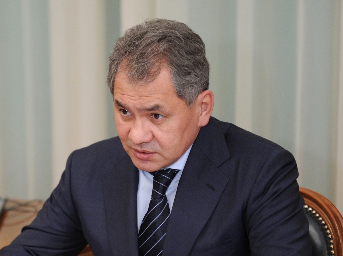    Сергей Шойгу / Источник: Premier.gov.ru