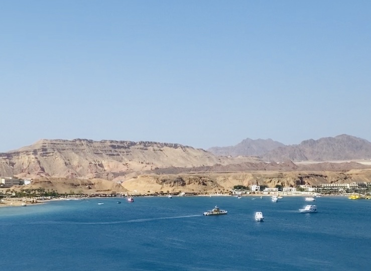 "Море сказка, плавает толстый наполеон, голубая и черная мурены, а кораллы не вытоптаны". Что брать на март в Египет?