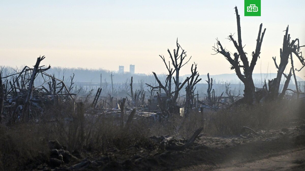    Фото: РИА Новости © 2025, Евгений Биятов