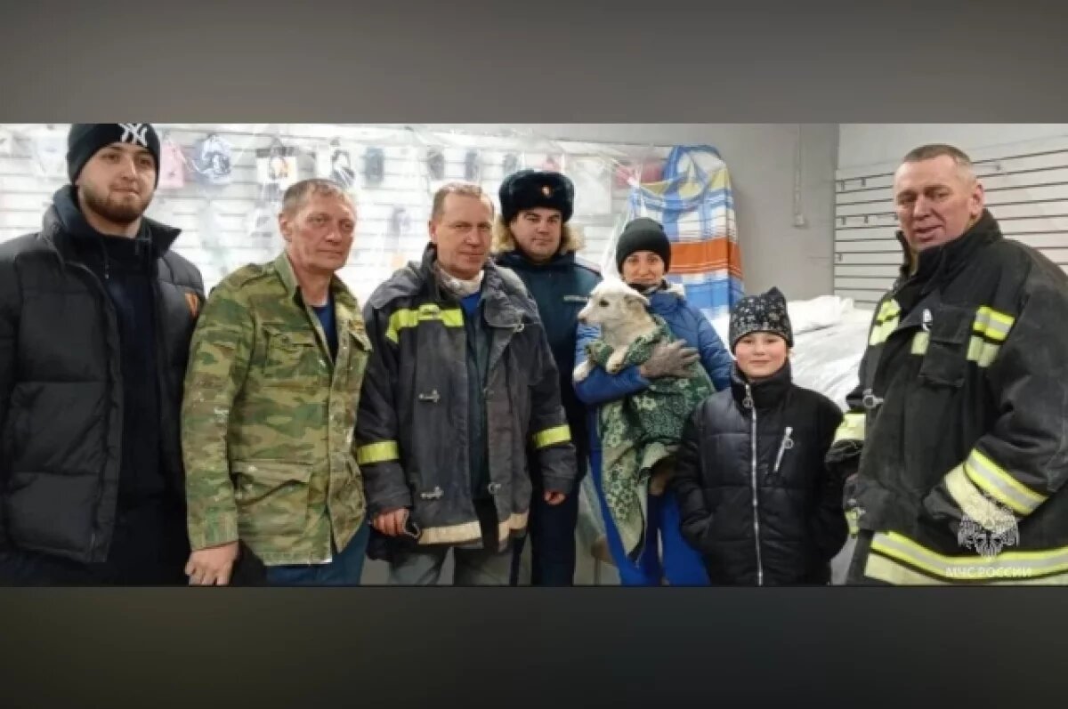    В ЕАО спасли собак, которые двое суток звали на помощь