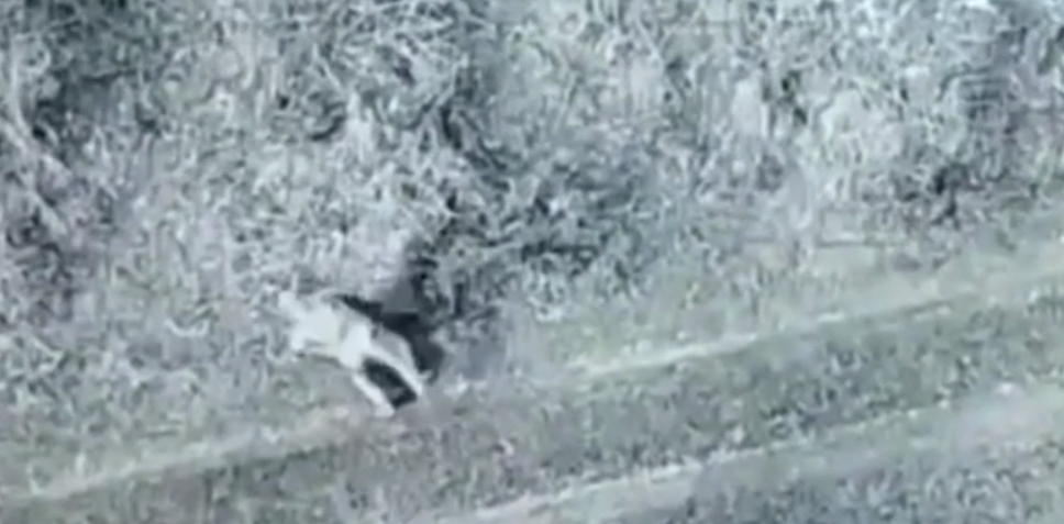 Российский военнослужащий накрыл своим телом пленного. Источник: t.me/SolovievLive Автор фото: Скриншот видео📷
