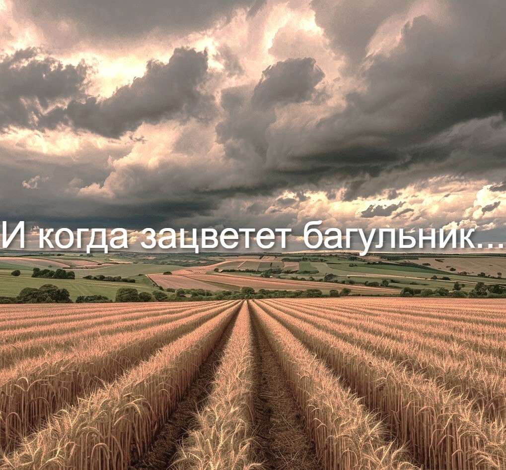 Изоображение сгенерировано нейросетью Шедеврум