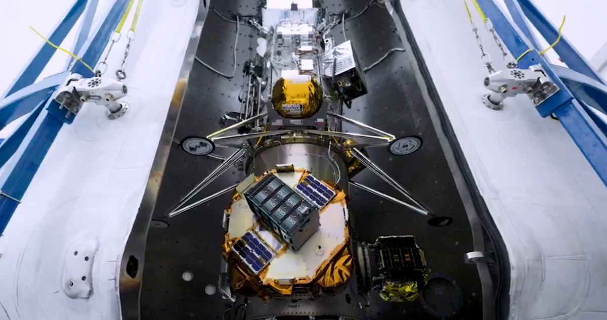 Фото SpaceX  📷
