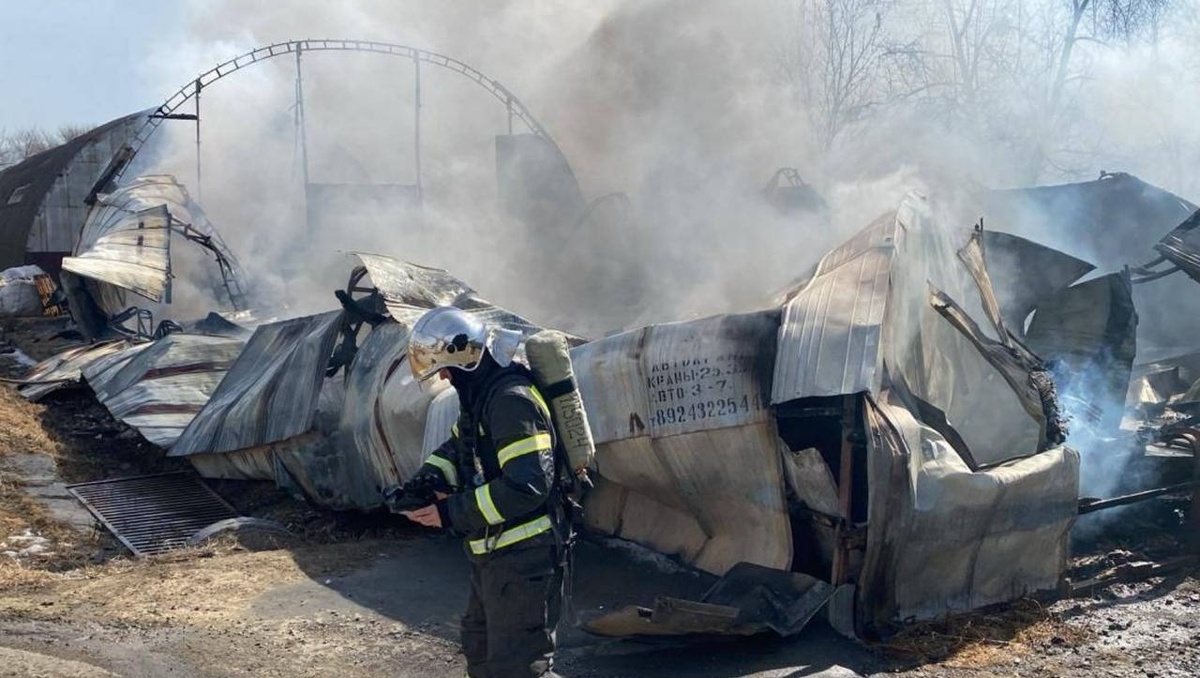     Источник: prosecutor_pk