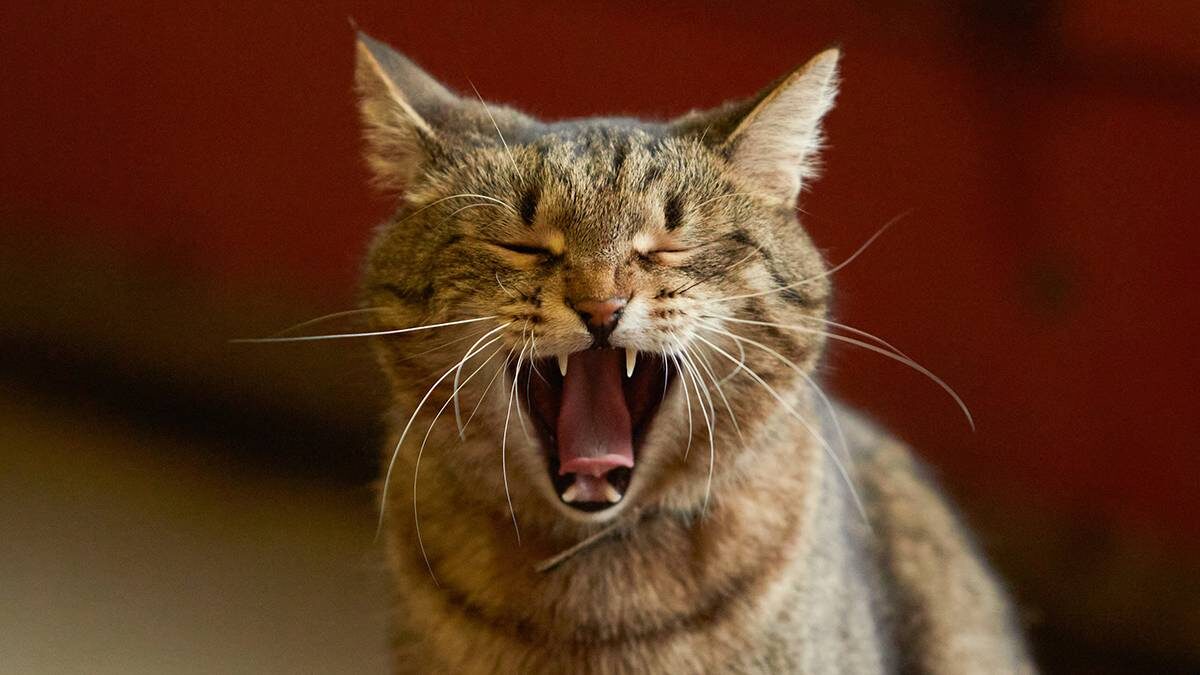    Фото: Дмитрий Белицкий / АГН Москва