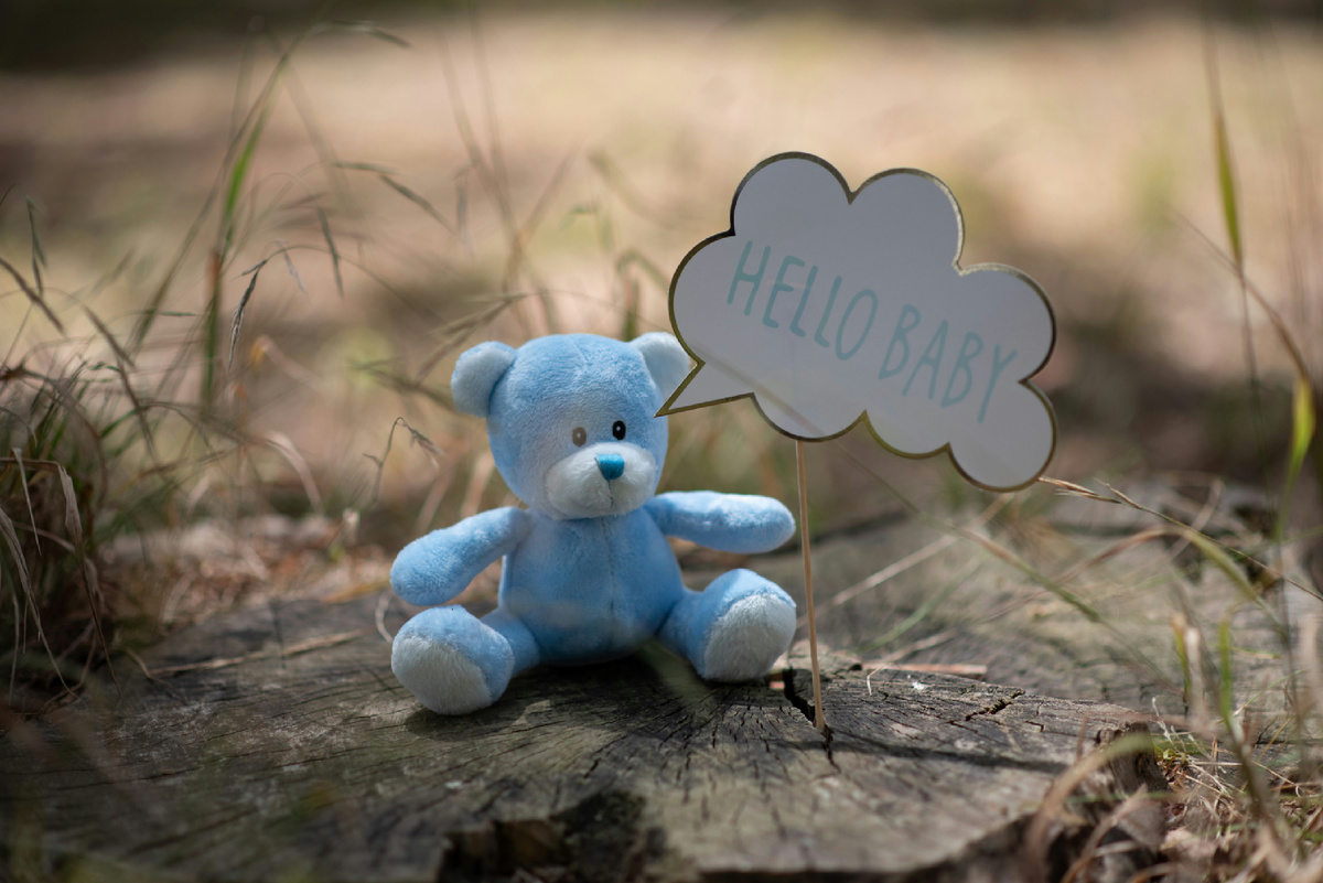 Photo by Ashwin Tanjore