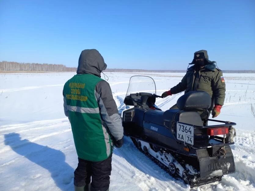 Фото: Уральское межрегиональное управление Россельхознадзора