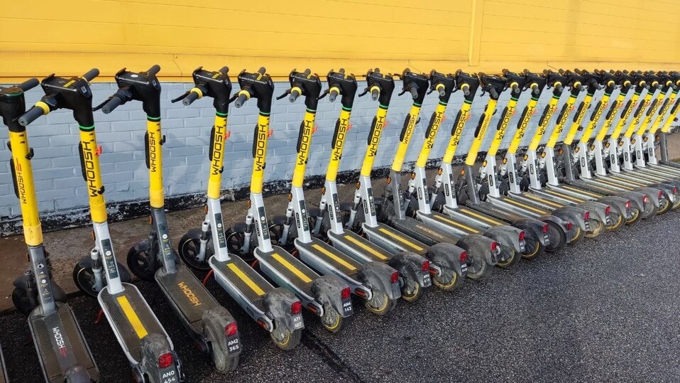     Фото: МК в Питере