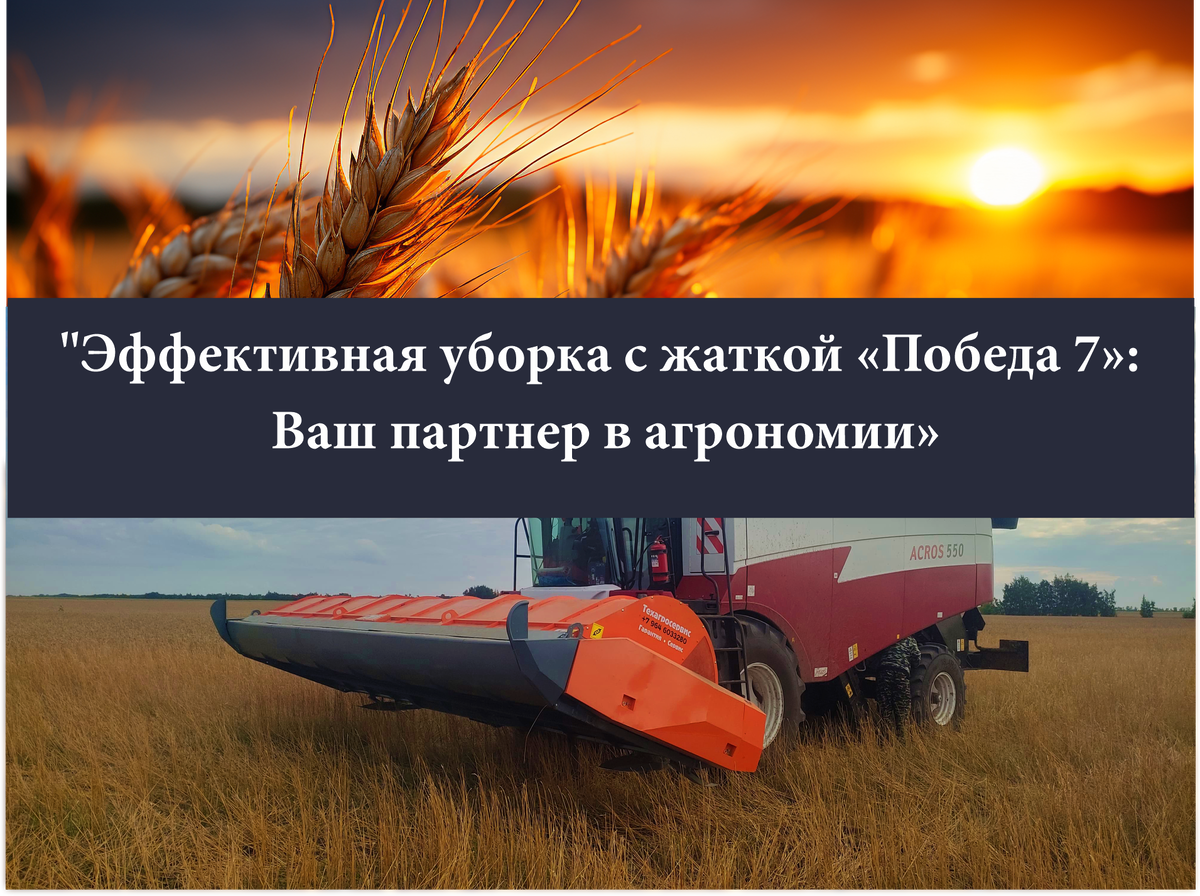 Очесывающая двухбарабанная жатка «Победа 7»  представляет собой современное решение для эффективной уборки зерновых культур и семенников трав с использованием передовых технологий.

🌾 Это оборудование предназначено для прямого комбайнирования, осуществляя процесс очесывания зерна с колосьев и последующей подачи очесывающей массы в комбайн.
📈Экономические показатели «Победы 7» впечатляют. Жатка может агрегатироваться как с новыми, так и с устаревшими комбайнами, что значительно повышает их производительность в 1,5–2 раза.
📈Высокая производительность и рабочая скорость обеспечивают быстрое завершение уборки.
🌾Жатка также эффективно справляется с уборкой полей, где растения могли полечь.   
      Таким образом, жатка «Победа 7» становится отличным выбором для современных сельхозпроизводителей, стремящихся повысить эффективность своих хлопот по уборке. 🔥 
Получить консультацию по жатке или задать все интересующие вопросы Вы можете позвонив на номер
+7(3852) 53-32-80☎️