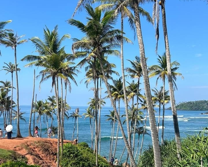 Coconut Tree Hill, Шри-Ланка