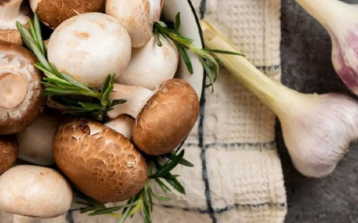    Липецкий транспортник возглавил «Воронежский шампиньон» Иллюстрация с ru.freepik.com