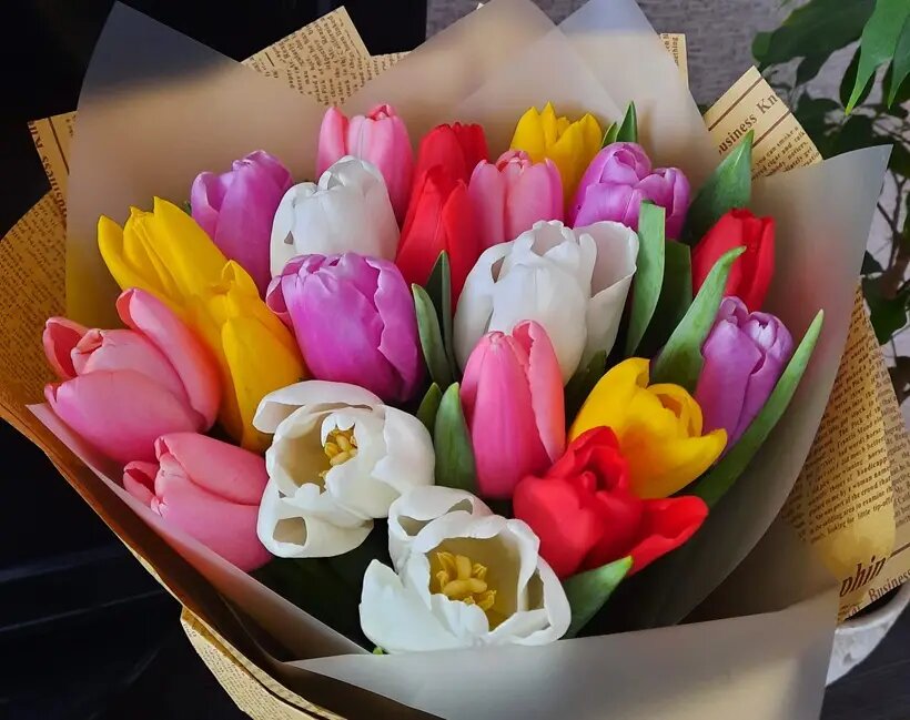     © "Интерфакс". Елена Плеханова