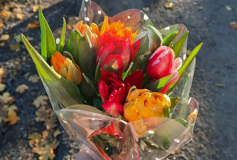    © "Интерфакс". Елена Плеханова