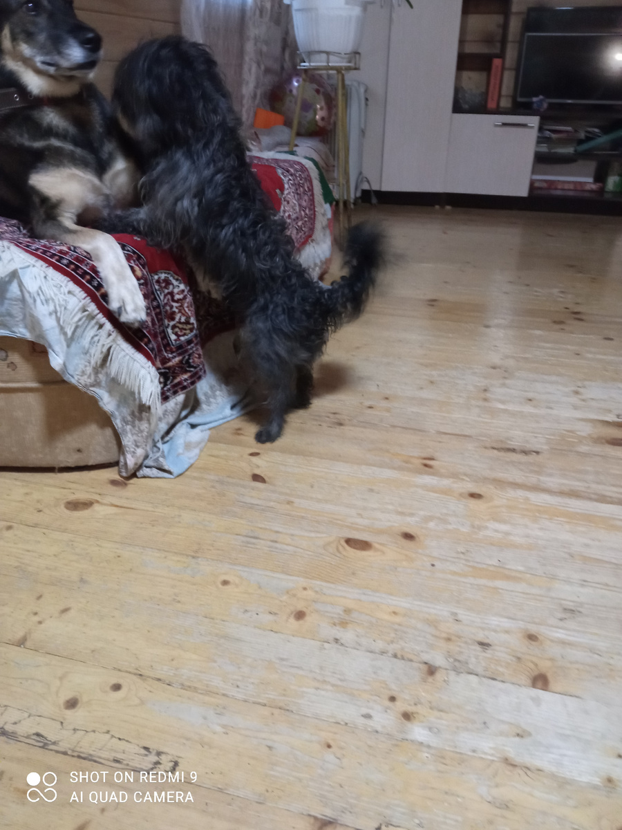 Джека была в шоке от его наглости.