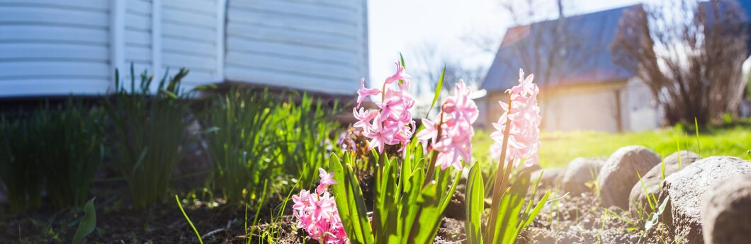 Designed by Freepik. Источник: www.freepik.com