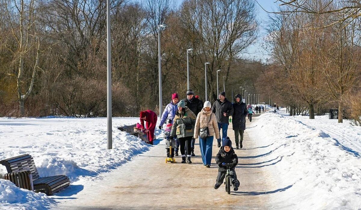     Люди в парке. Источник: mos.ru Автор фото: Пресс-служба Мэра и Правительства Москвы